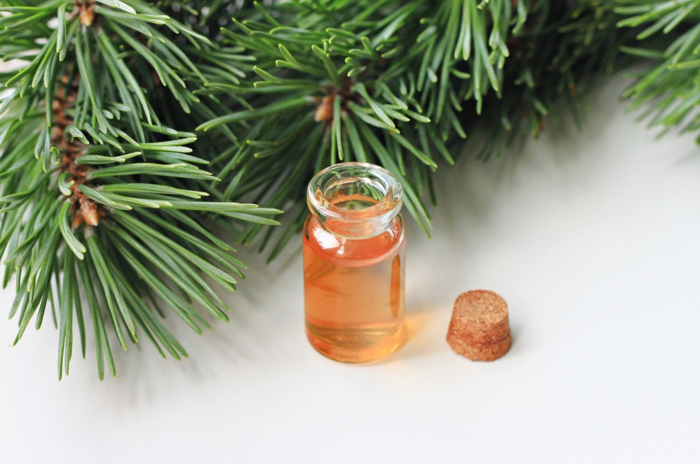 balsam fir essential oil